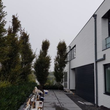 Schilder in Elburg voor kwaliteit - Schilderwerken Joeri buitenzijde woning geschilderd